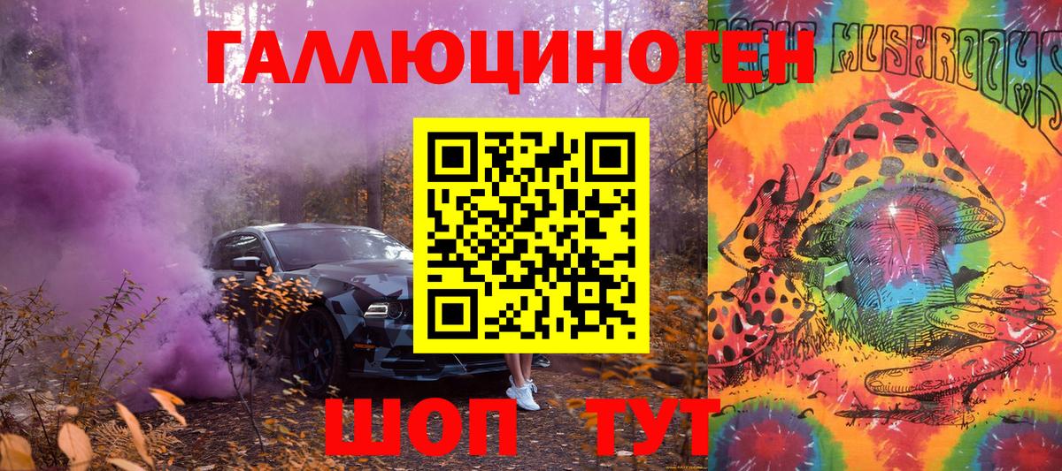 Псилоцибиновые грибы Psilocybine cubensis Гуково