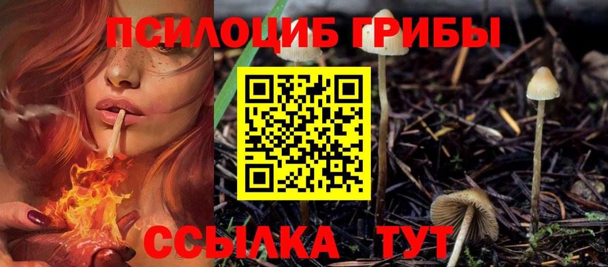 Галлюциногенные грибы мицелий  Псилоцибиновые грибы прущие грибы  Гуково  Вход с VPN 